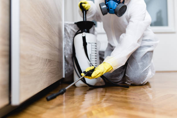 Best Cockroach Control Services  in Rotan, TX
