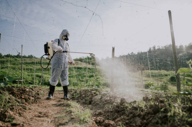 Best Commercial Pest Control Services  in Rotan, TX