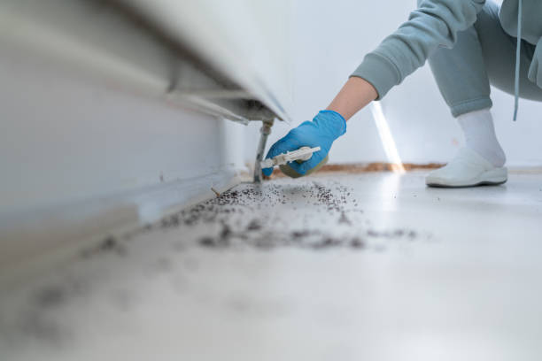 Wildlife Control Services in Rotan, TX
